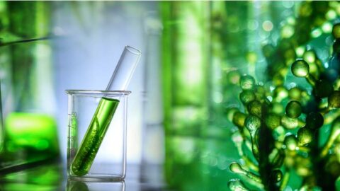 Verduurzaming zorg: vier thema’s