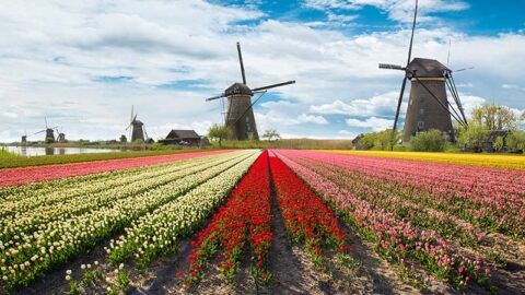 Hoe corona de ware aard van het zorgsysteem openbaart