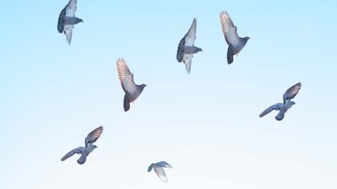 Leider 3.0 geeft mensen de ruimte