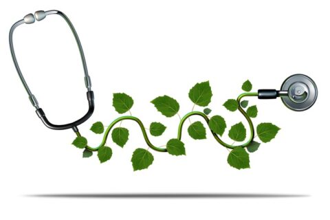 Sustainable Health Accelerator belooft geen woorden maar daden