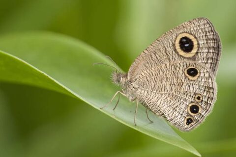 Zachte landing voorkomt vroege exit verpleegkundigen