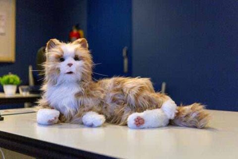 Palliatieve zorg: weerstand tegen technologie verdwijnt