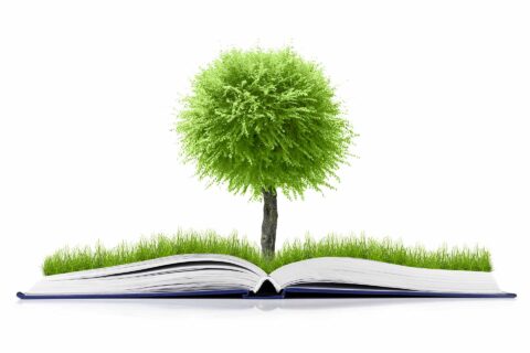 Duurzaamheid ondergeschoven kind in zorgonderwijs