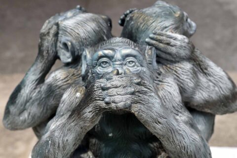 Softwaregigant snoert ziekenhuis de mond met zwijgclausules