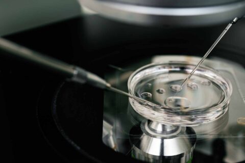 ‘Thuismonitoring bij IVF veilig en succesvol’