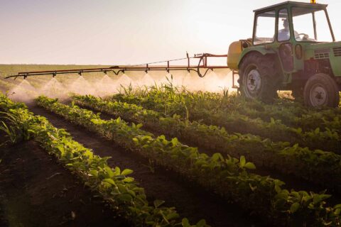 ‘Test pesticiden op mogelijke rol bij Parkinson’