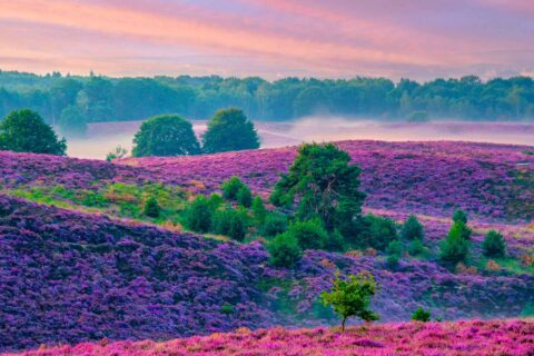 ‘Natuur op Recept’ krijgt eigen verwijstitel