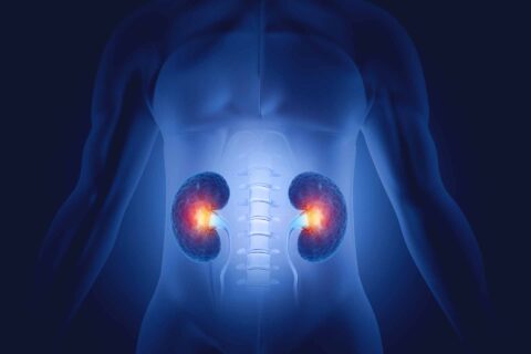 AKI-alert waarschuwt bij acute nierschade