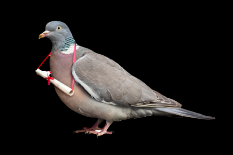 Vijf kamerbrieven over gegevensuitwisseling en databeschikbaarheid