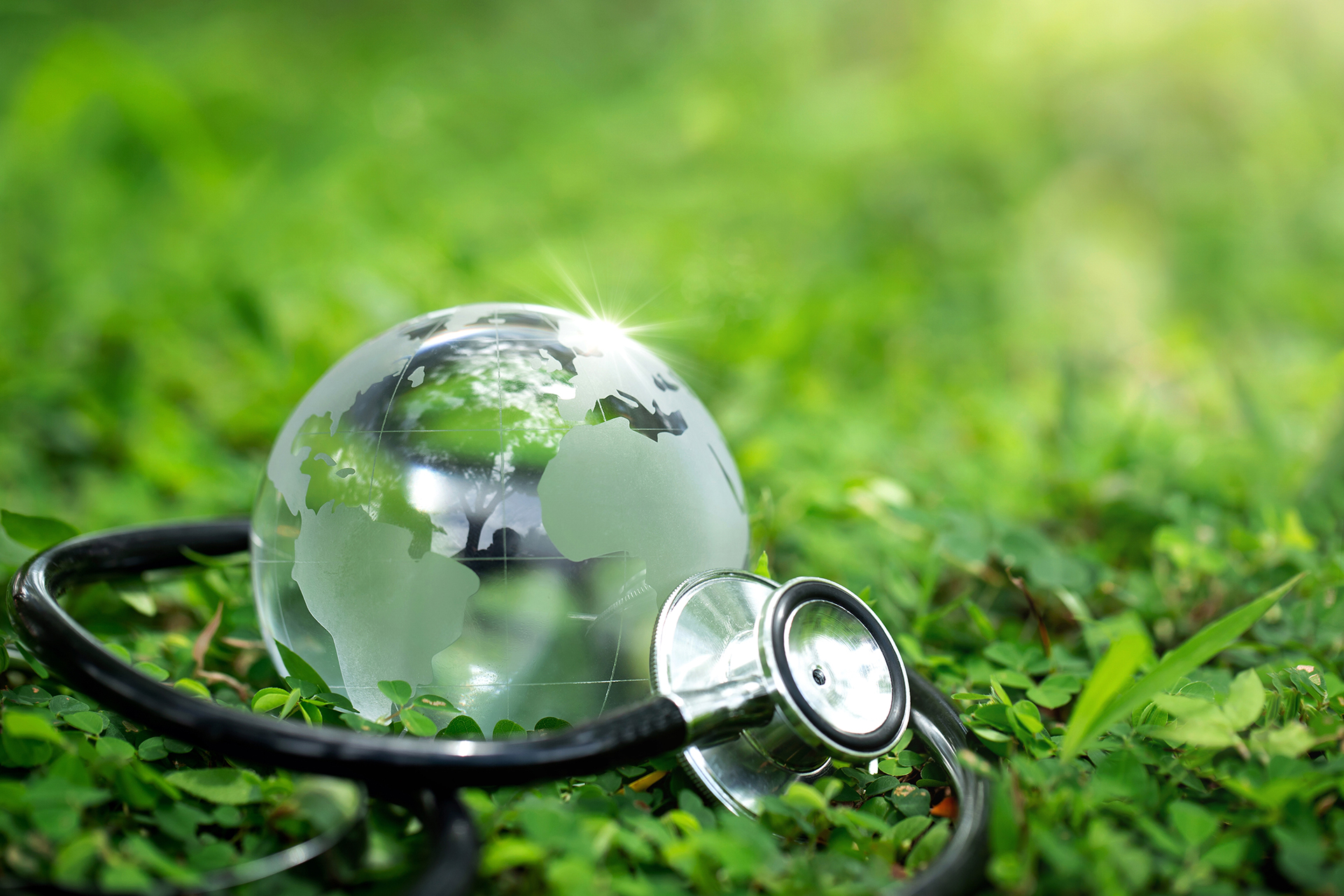 De Groene Z duurzaamheid en circulariteit