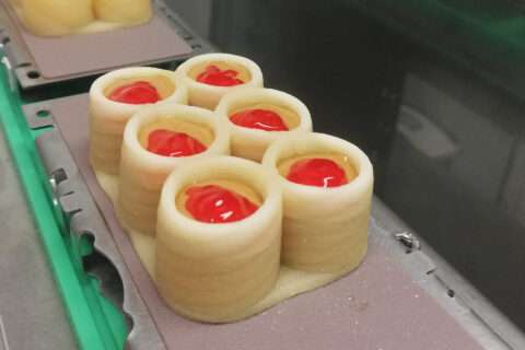 3D-geprinte voeding en 3D-voeding