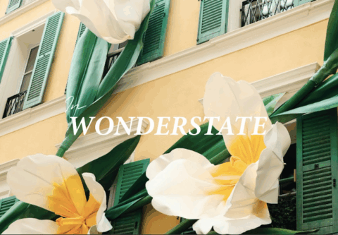 Wonderstate – Intieme wellness voor vrouwen die zichzelf serieus nemen