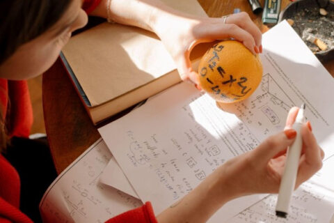 Studeer je voedingswetenschappen? Tips & tricks voor het einde van je studie